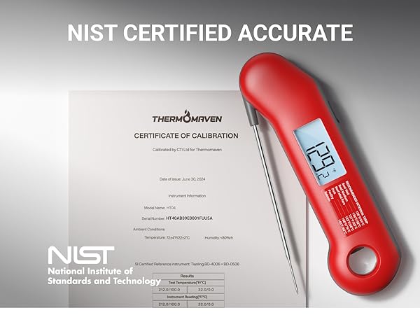 meat thermometer digital