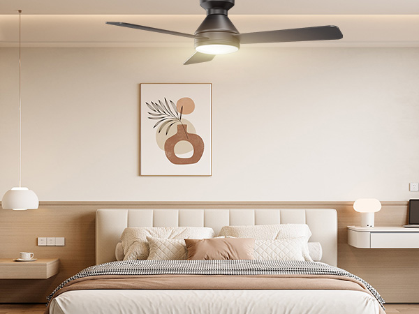 ceiling fans with lights and remote