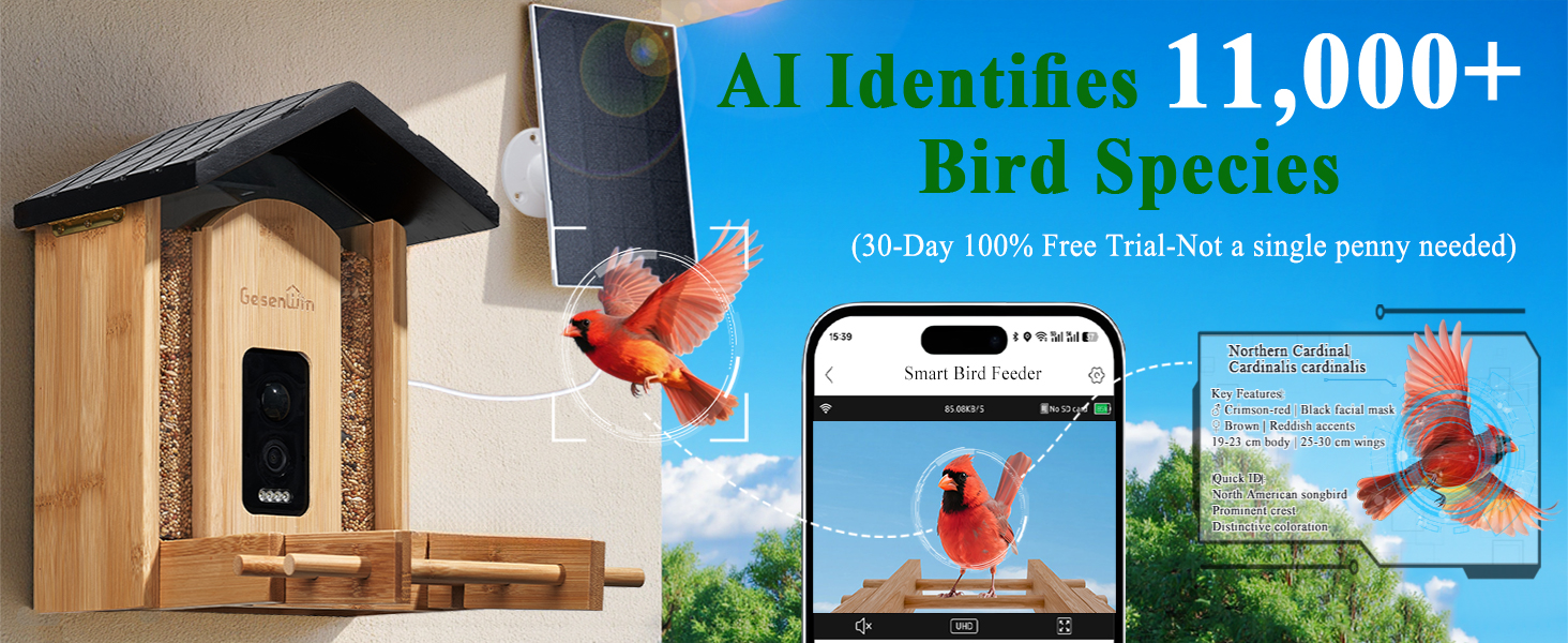 ai bird cam