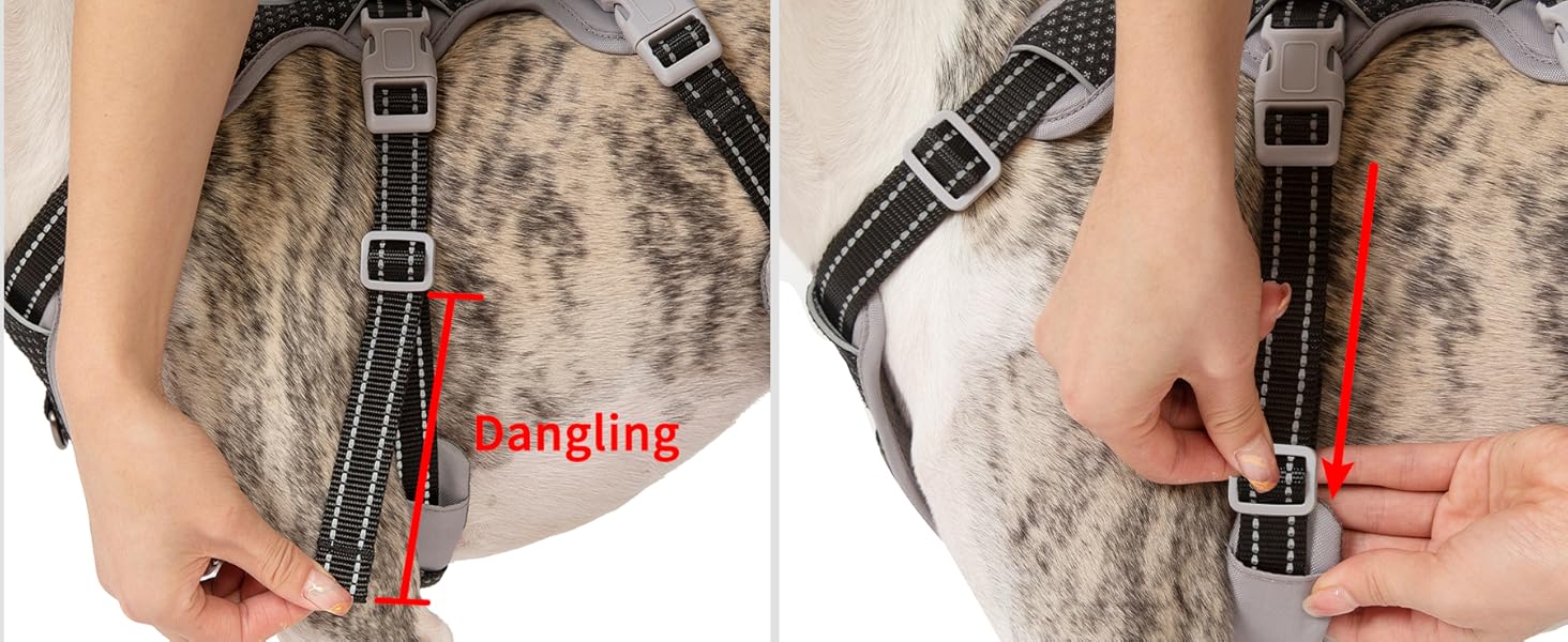 escape proof harness for dog