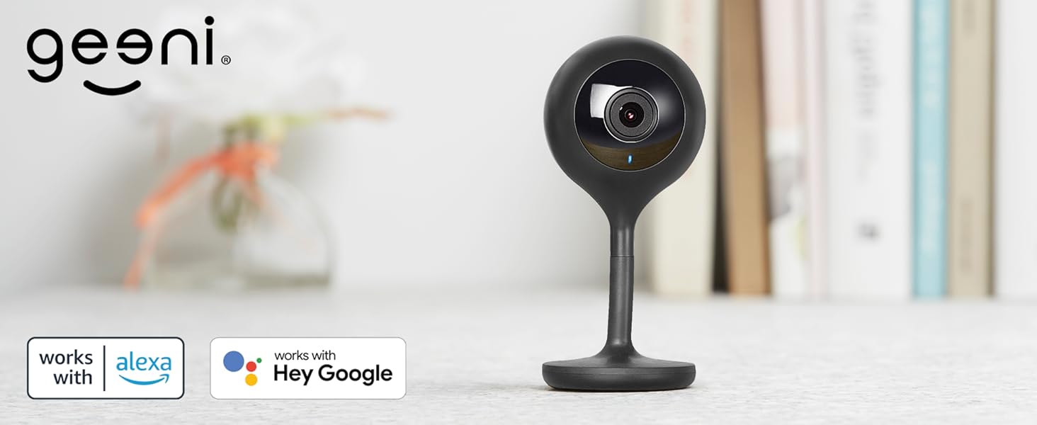 Indoor Camera Surveillance &amp; Security Cameras Hidden Cameras Dome Surveillance Cameras