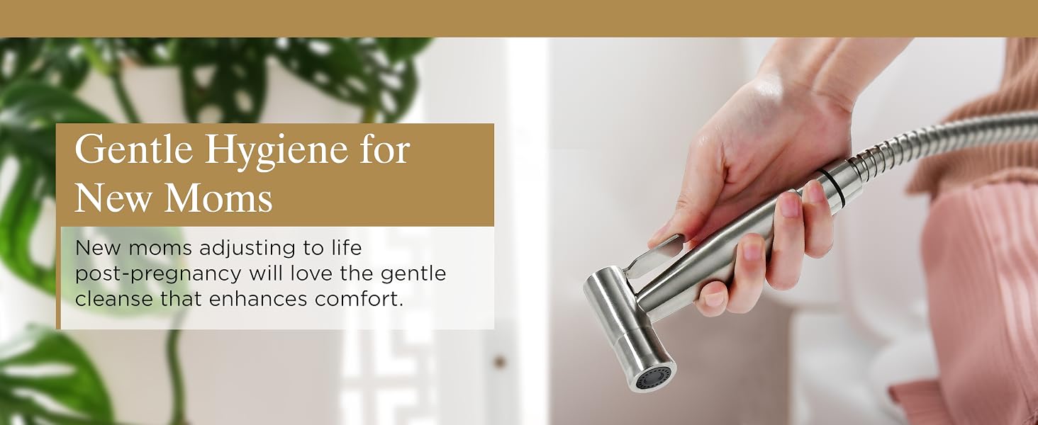 bidet hygiene cleanliness