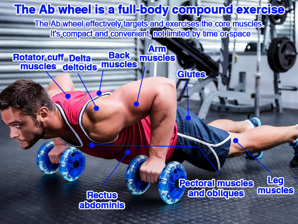 The Ab Roller Wheel Disc are designed to help you burn calories and build muscle efficiently