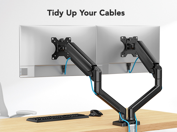 dual monitor arm