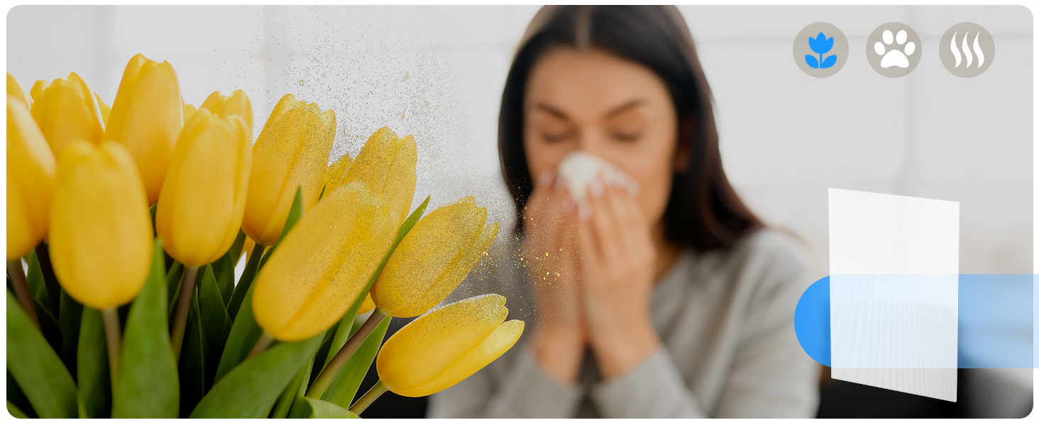air purifiers for mold