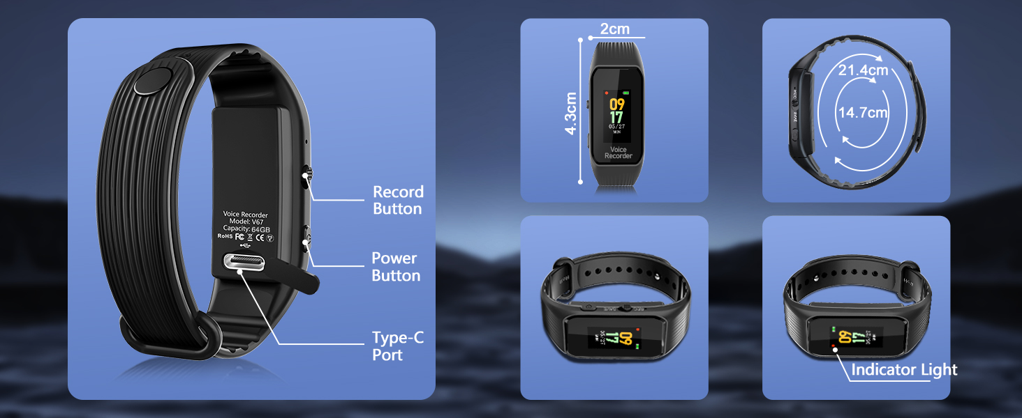 voice recorder with playback