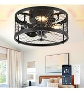 DLLT Caged Ceiling Fans with Light: 13" Small Outdoor Farmhouse Ceiling Fan with Remote App Contr...