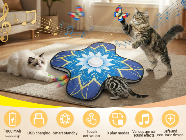 Interactive Cat Toy for Indoor Cats