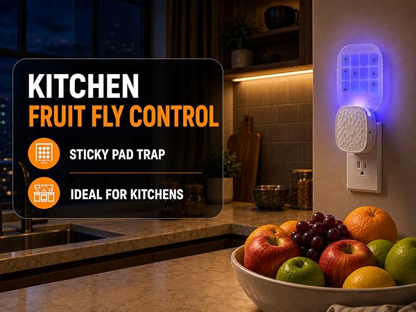 fly trap kitchen