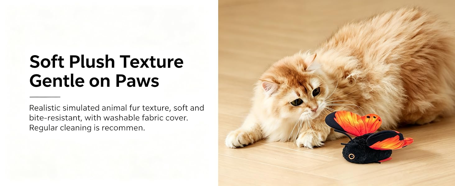 cat toys