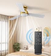 Ceiling fans with lights and remote