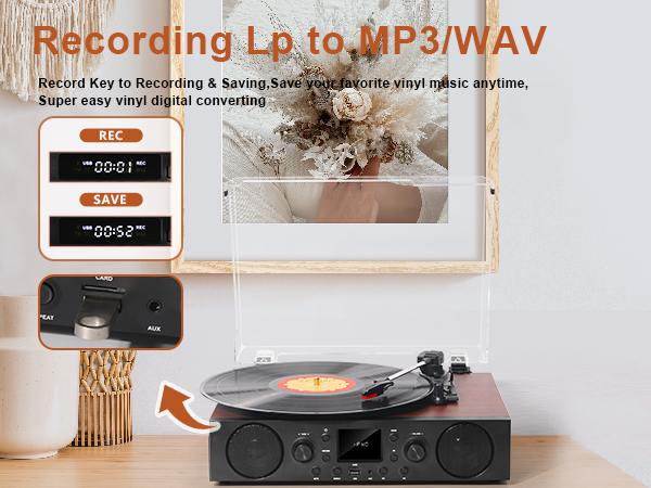 Vinyl Record Player