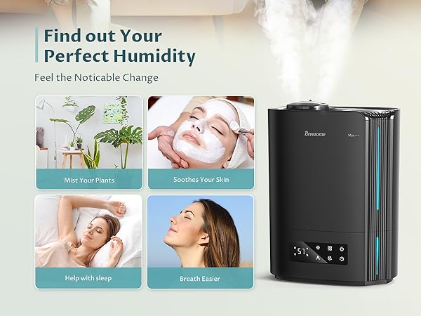 Humidifiers for Large Room