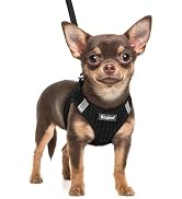 Eagloo Small Dog Harness and Leash Set, Step in Puppy Vest with Breathable Soft Mesh, Walking Ref...