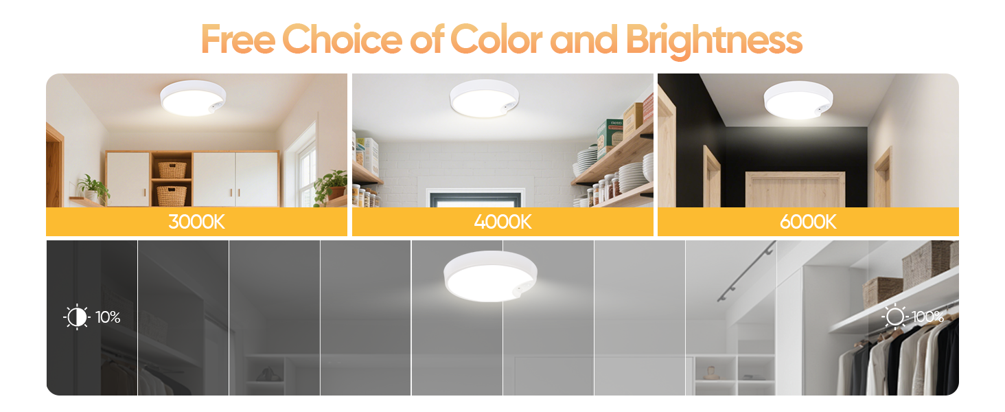 Ceiling light
