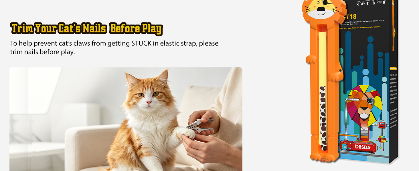 cat toys