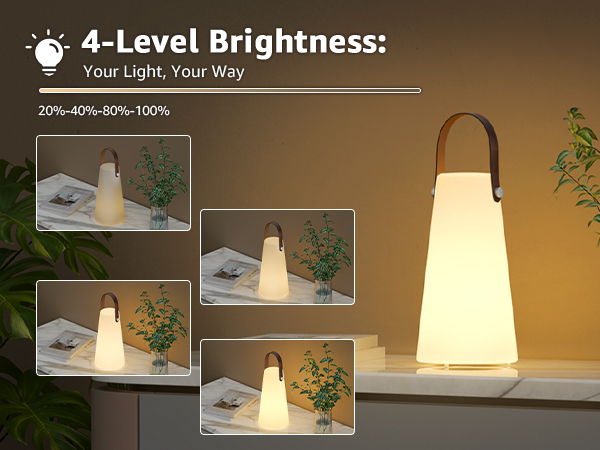 4-Level Brightness