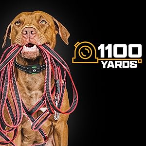 Shock Collars for Dogs with Remote 3 modes