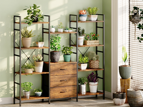 triple bookshelf for plants