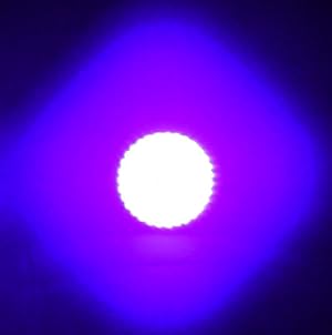 uvBeast V2 Black Light UV Flashlight High Power