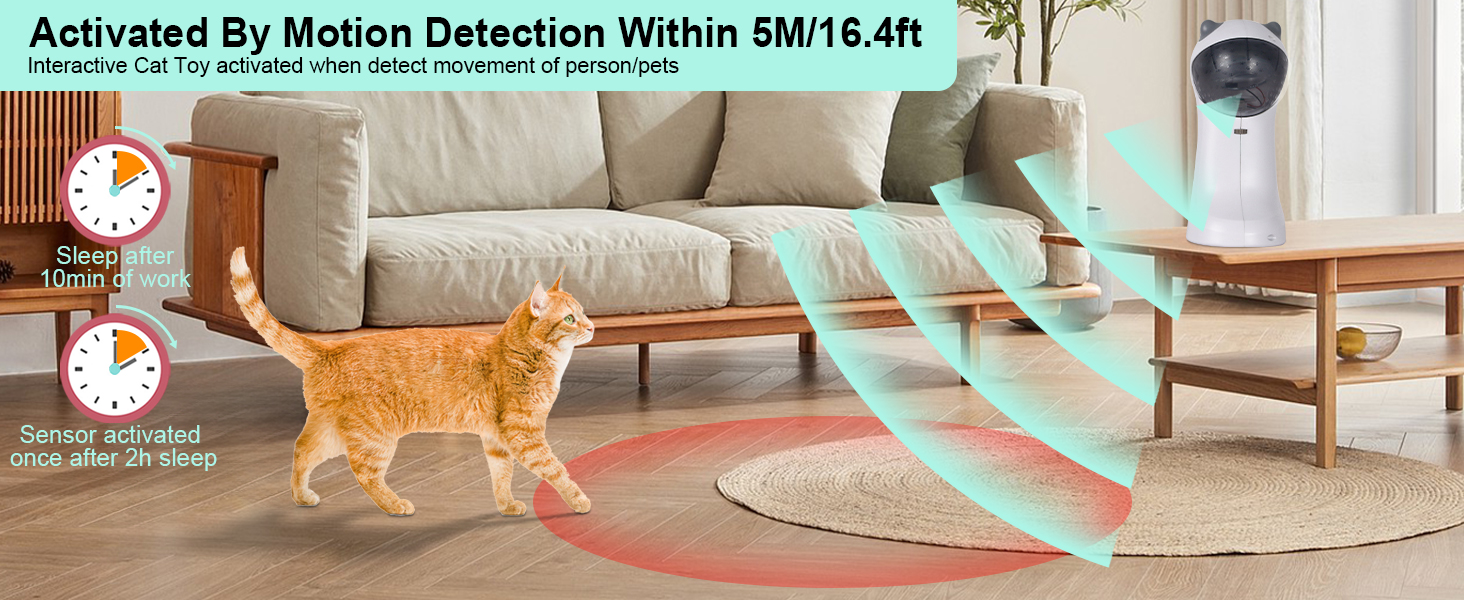 Motion Sensor