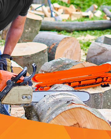 timberline gauge tree cutting cadena motosierra portable hand mount alignment plastic protective