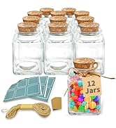 ELAORY 12 Pack Small Glass Jars with Lids,3.4 oz Small Jars with Lids, Mini Glass Bottles with Co...