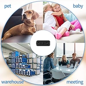 usage scenario pet baby warehouse meeting