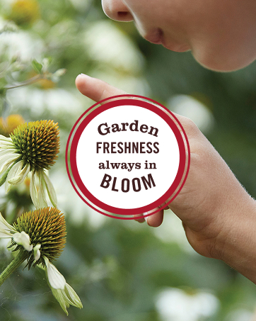 mrs meyers cleaning products