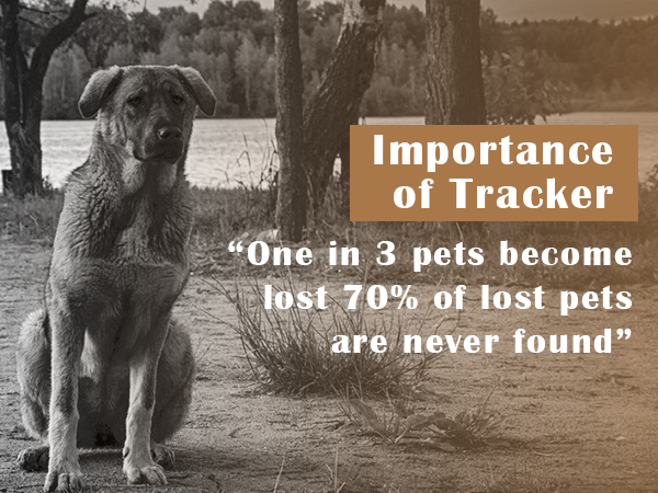 personalized dog location tracker