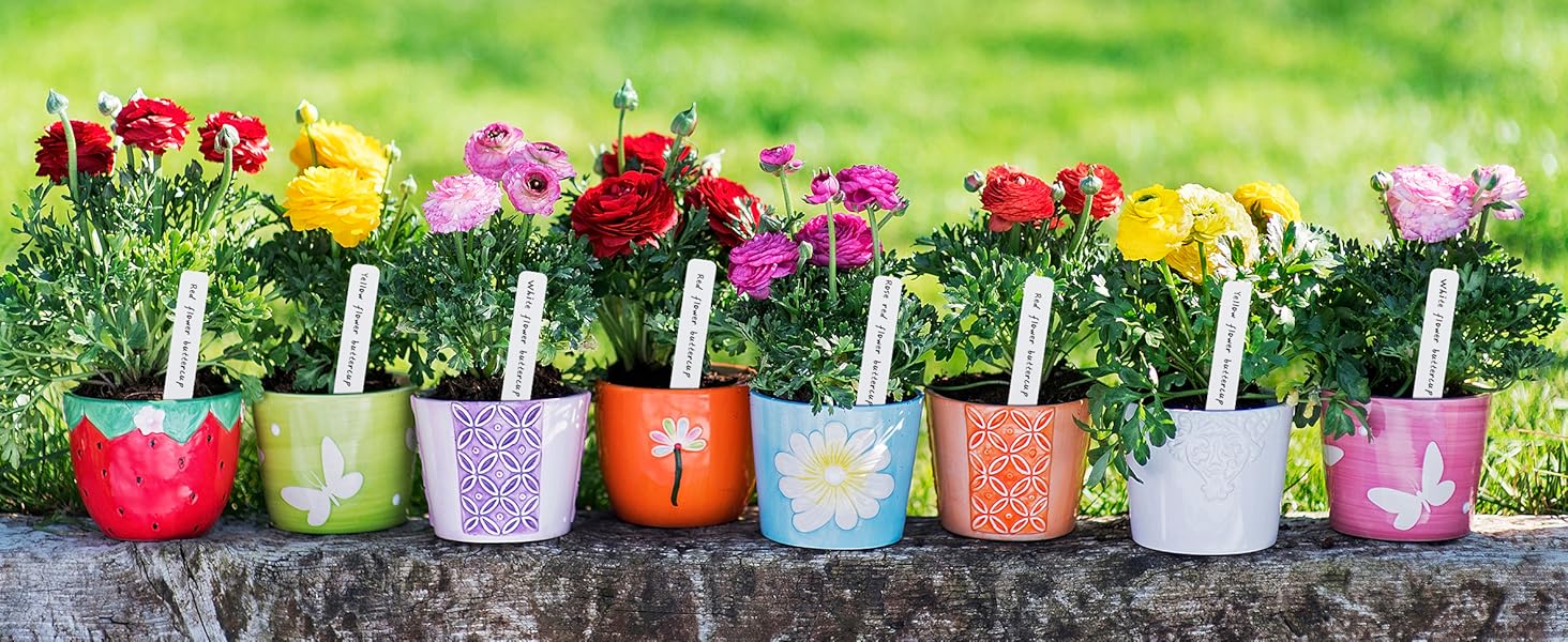 plant labels