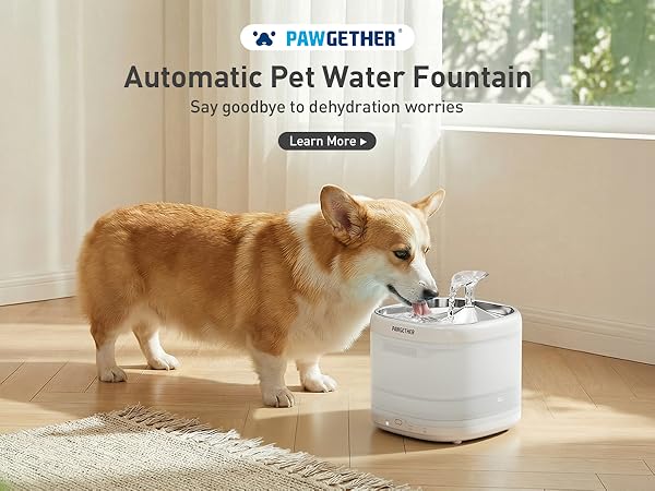 automatic dog water fountain