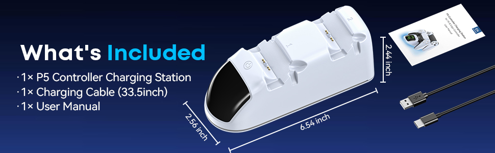 P5 Controller charger