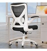 Ergonomic Office Chair - Computer Desk Chairs Comfy, Mesh High-Back Gaming Chair with Adjustable ...