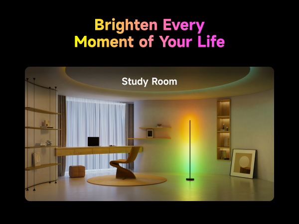 LED Floor Lamp