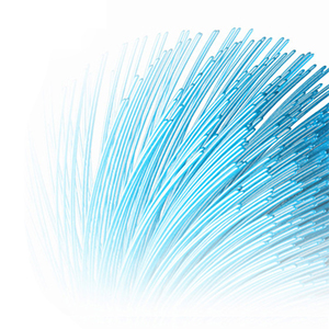 Advanced Bristle System