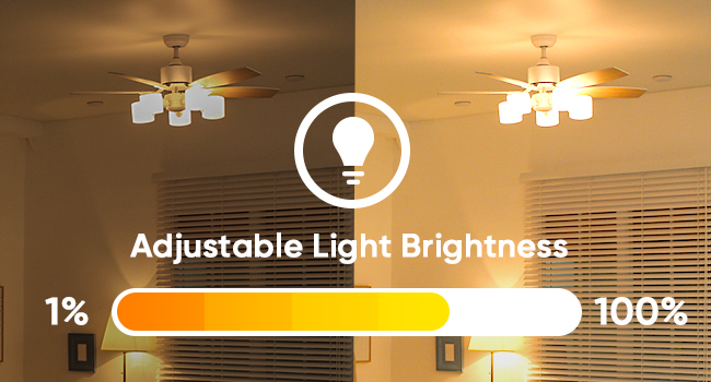 smart fan and dimmer light switch