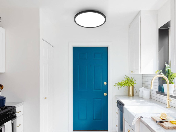 ceiling mount light