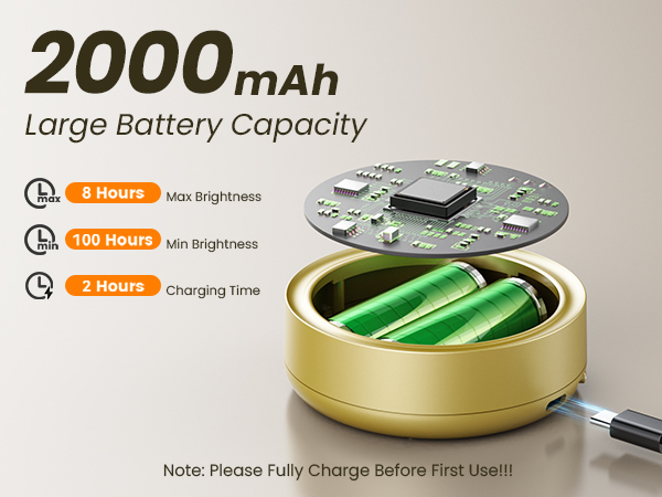 2000mAh Rechargeable Battery