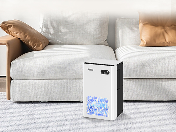 dehumidifier for room
