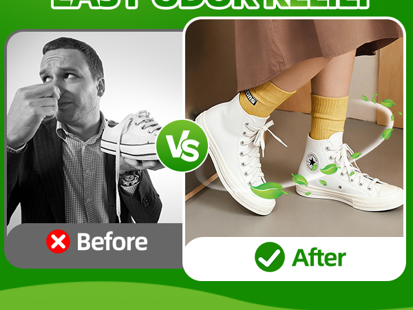 Shoe Deodorizer
