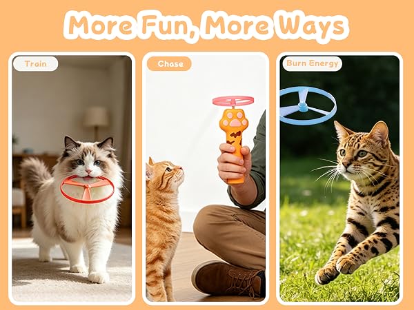 More Fun, More Ways,Cat toys