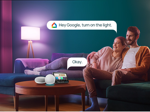 voice control