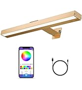 MIOBLUE Rechargeable Picture Light, Battery Painting Light Display Lamp with APP Music Sync Multi...