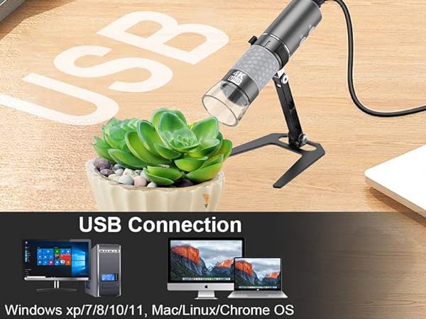 USB Connection