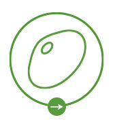 glucose monitor