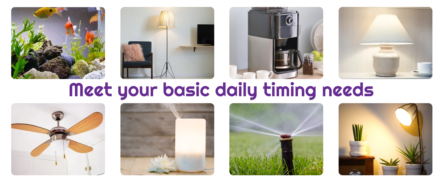 Timer Outlet