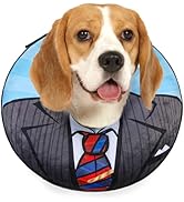 BEAUTYZOO Inflatable Dog Cone Collar, Recovery Dog Cone Alternative After Surgery, Adjustable Blo...