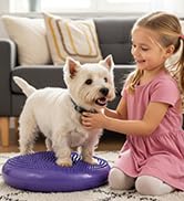 wobble cushion