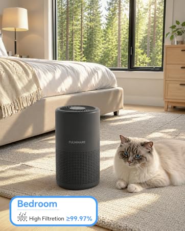 air purifiers for home